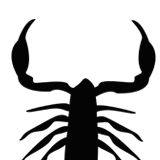 image spider